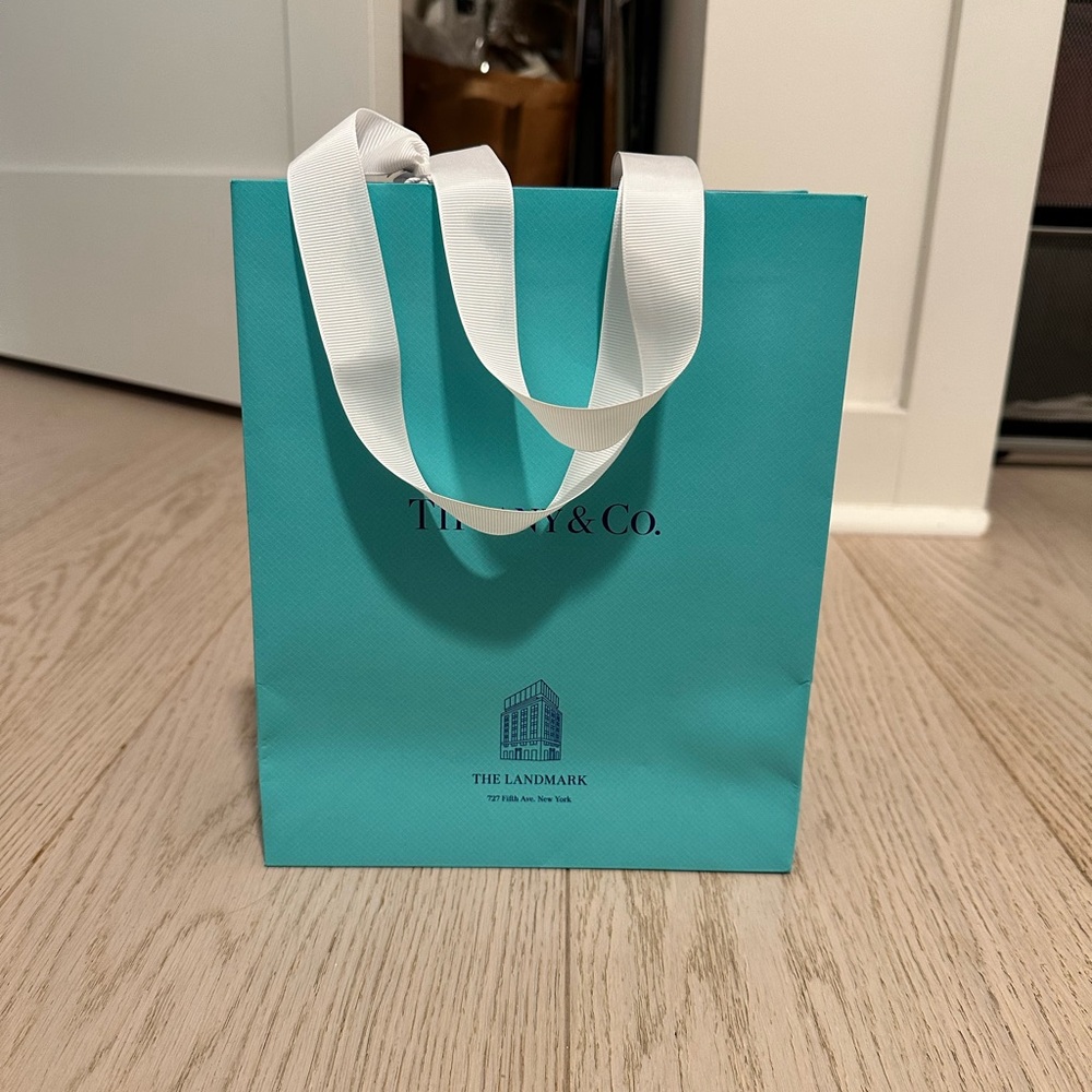 Tiffany & Co. Turquoise Bag with iconic landmark pendent - Picture 2 of 4
